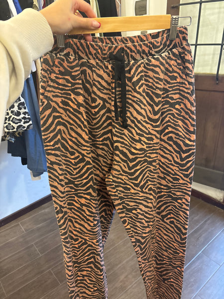 Joggers cebra