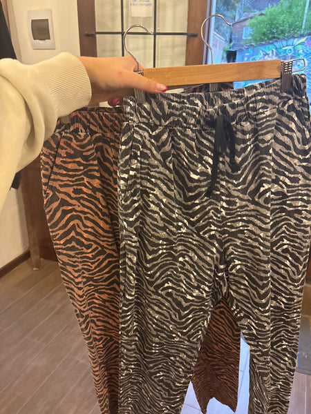 Joggers cebra
