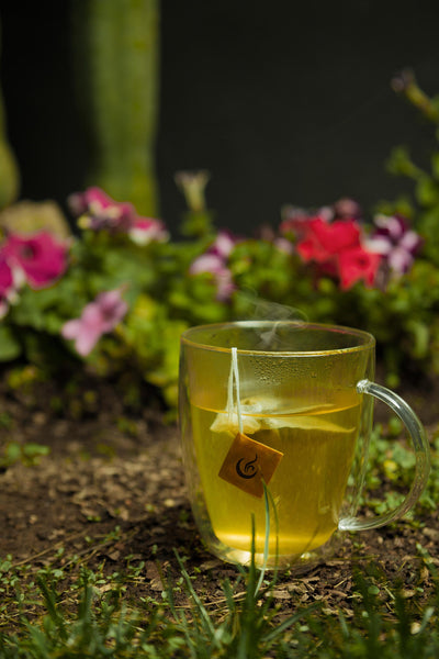 INFUSIÓN VITALIDAD MÁGICA
